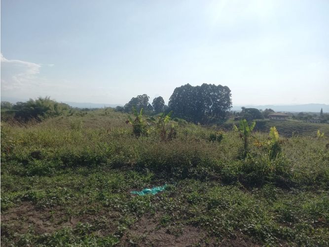 Lote en venta en Hojas Anchas, Armenia, 3000 m² · foto 13 de 17