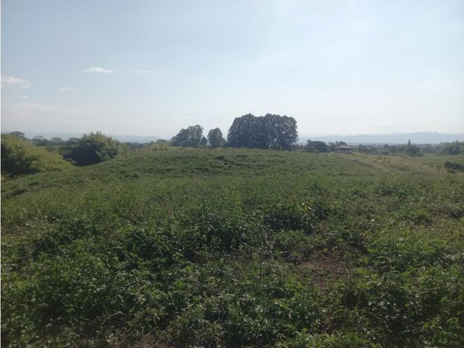 Lote en venta en Hojas Anchas, Armenia, 3000 m² · foto 16 de 17