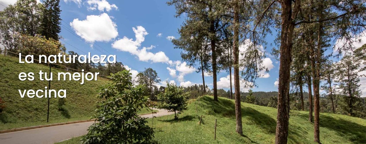 Lote en venta en El Portento, El Retiro, 2520 m² · foto 7 de 13