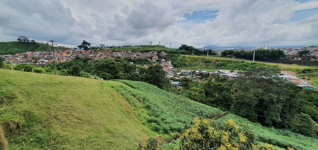 Lote en venta en El Estanquillo, Dosquebradas, 100 m² · foto 2 de 24