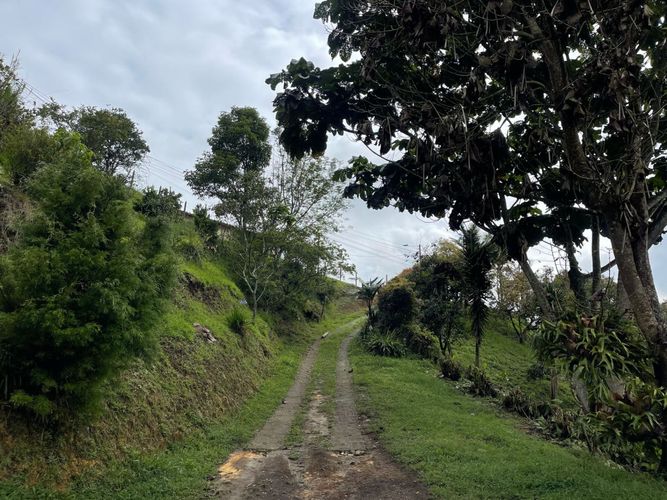 Finca en venta en La Laja, Rionegro, 100 m² · foto 4 de 17
