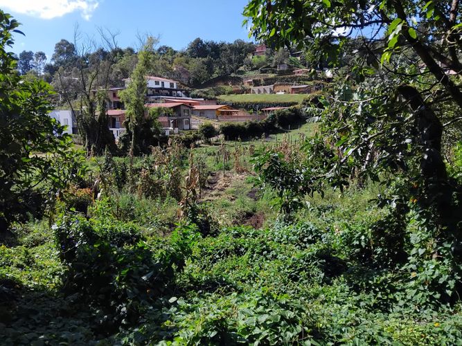 Finca en venta en La Laja, Rionegro, 100 m² · foto 7 de 17