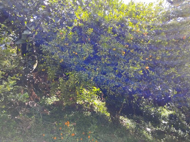 Finca en venta en La Laja, Rionegro, 100 m² · foto 8 de 17