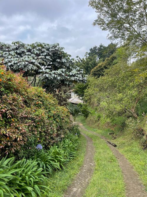 Finca en venta en La Laja, Rionegro, 100 m² · foto 9 de 17