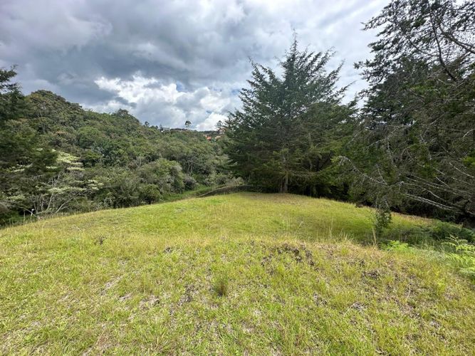 Lote en venta en El Carmen De Viboral, El Carmen de Viboral, 3028 m² · foto 3 de 20