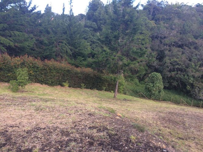 Lote en venta en El Carmen De Viboral, El Carmen de Viboral, 3028 m² · foto 12 de 20
