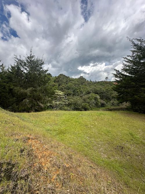 Lote en venta en El Carmen De Viboral, El Carmen de Viboral, 3028 m² · foto 13 de 20