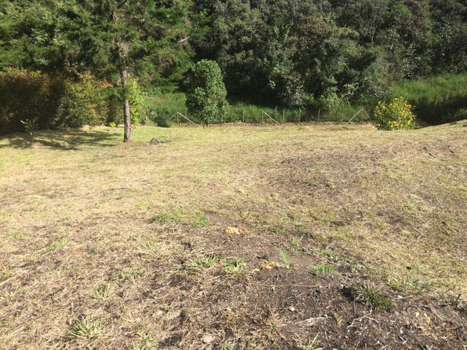 Lote en venta en El Carmen De Viboral, El Carmen de Viboral, 3028 m² · foto 14 de 20