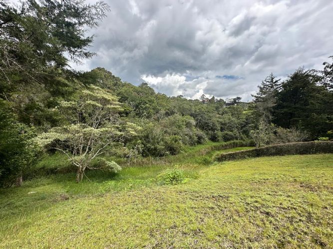 Lote en venta en El Carmen De Viboral, El Carmen de Viboral, 3028 m² · foto 17 de 20
