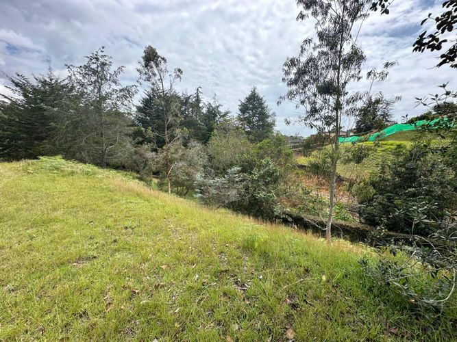 Lote en venta en El Carmen De Viboral, El Carmen de Viboral, 3028 m² · foto 18 de 20