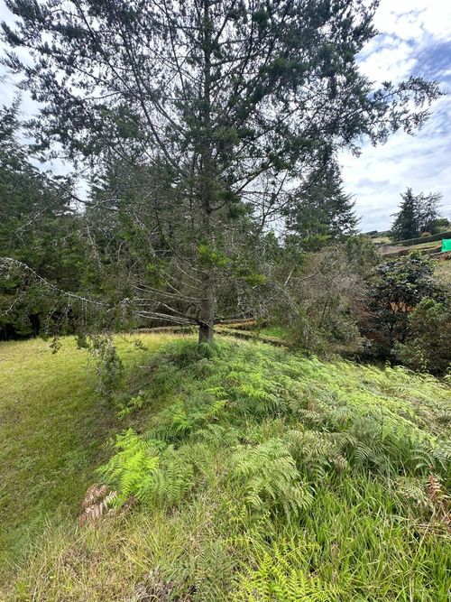 Lote en venta en El Carmen De Viboral, El Carmen de Viboral, 3028 m² · foto 20 de 20