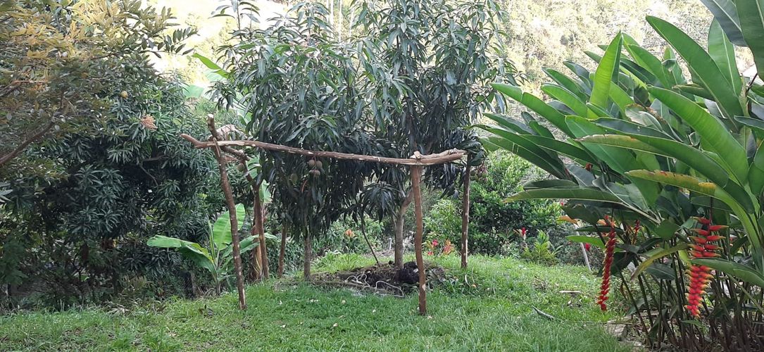 Casa de 3 alcobas en venta en Condominio Campestre Valladolid, Bucaramanga, 800 m² · foto 3 de 11