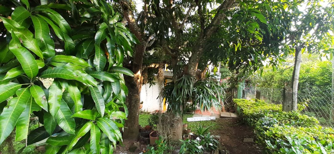Casa de 3 alcobas en venta en Condominio Campestre Valladolid, Bucaramanga, 800 m² · foto 5 de 11