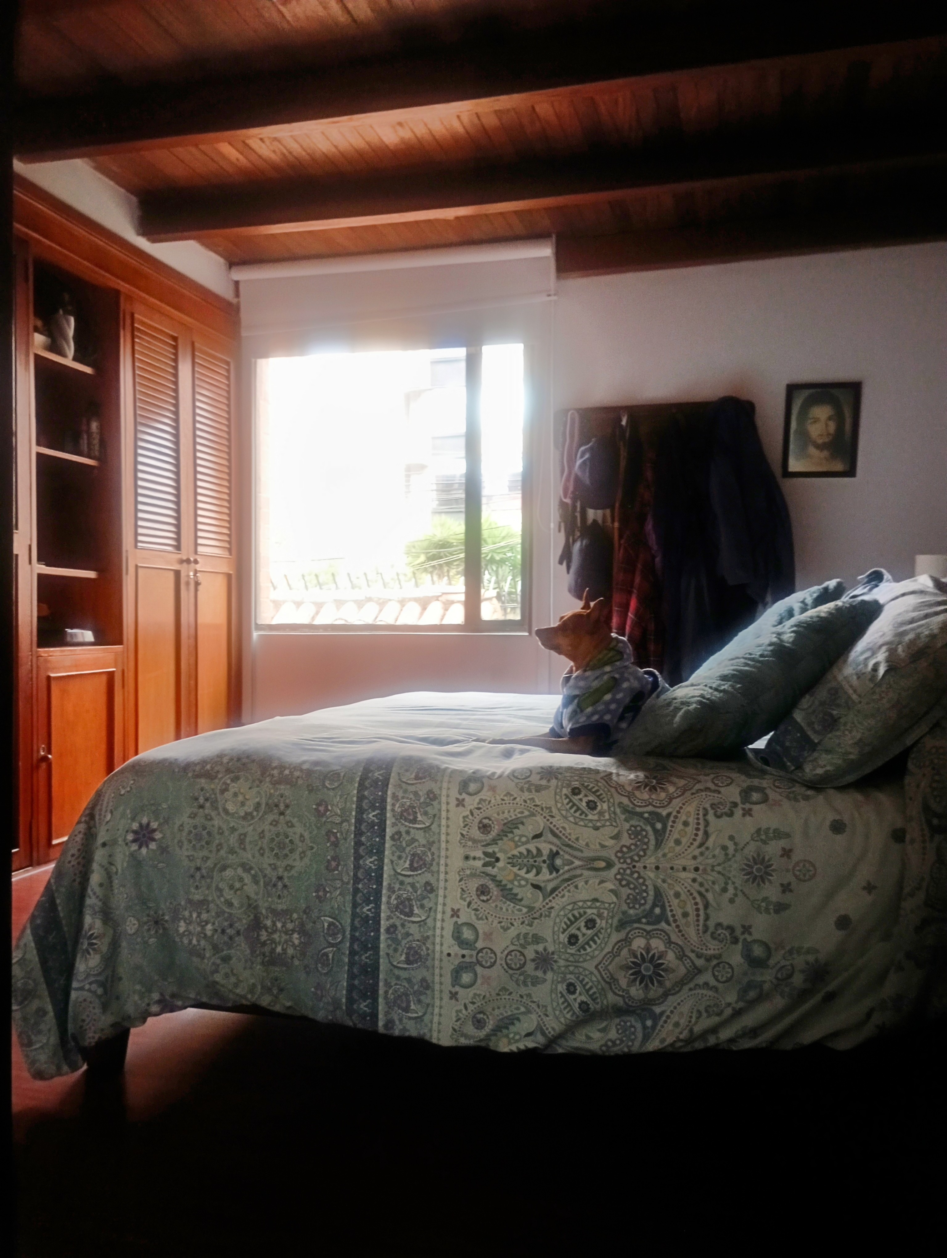Casa en venta en Cedritos, Bogotá · foto 5 de 15