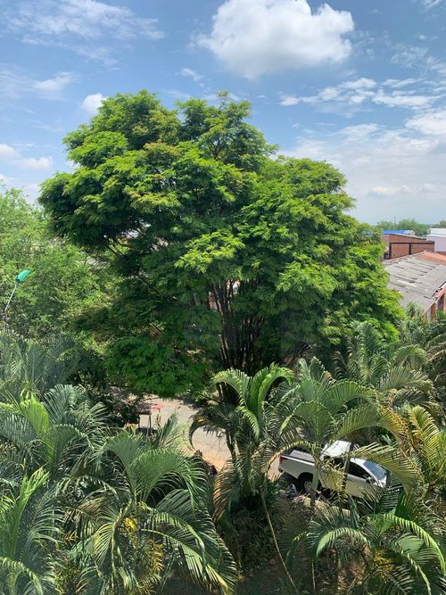 Apartamento de 2 alcobas en venta en Caney, Cali, 62 m² · foto 2 de 12