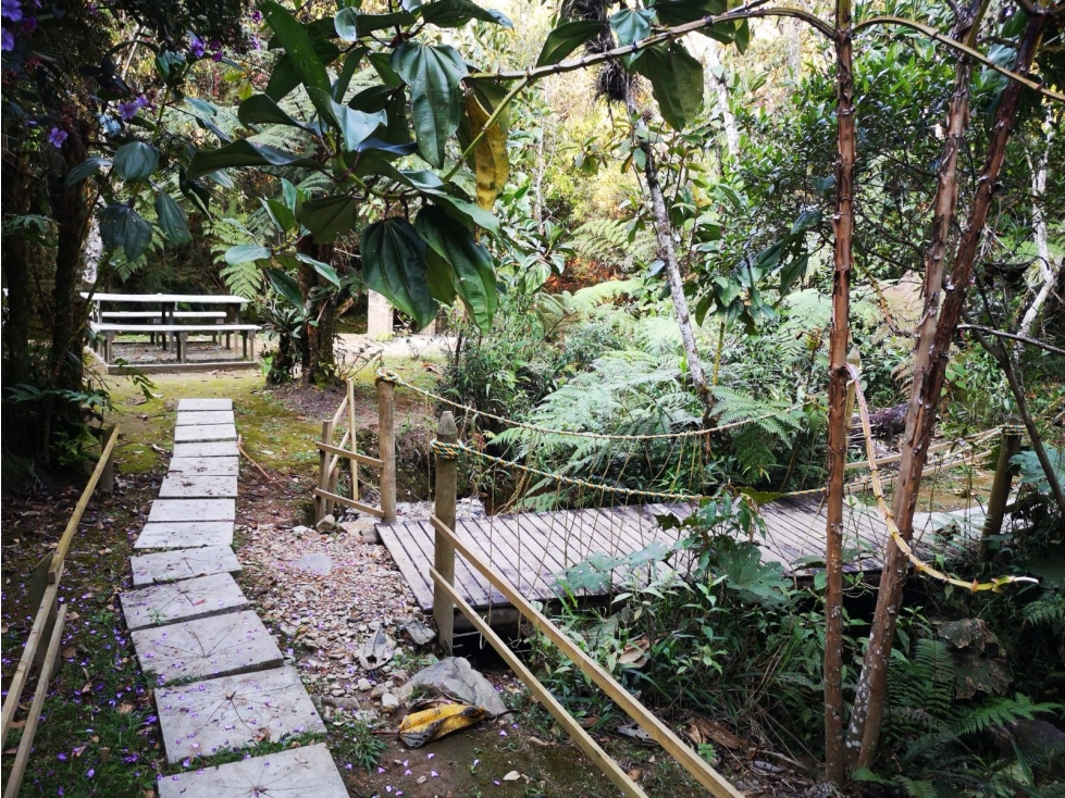 Land in Los salados for Sale - 2