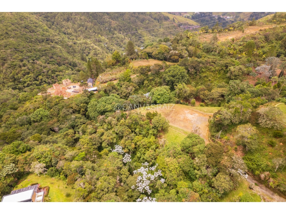 Land in Los salados for Sale - 3