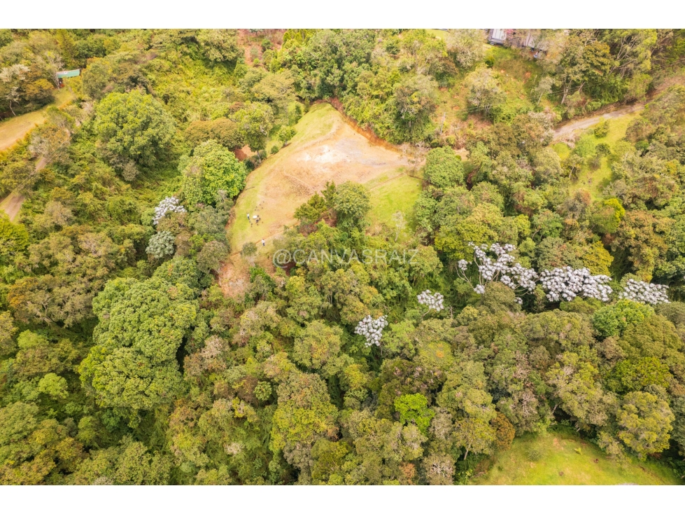 Land in Los salados for Sale - 4