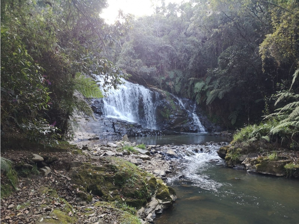 Land in Los salados for Sale