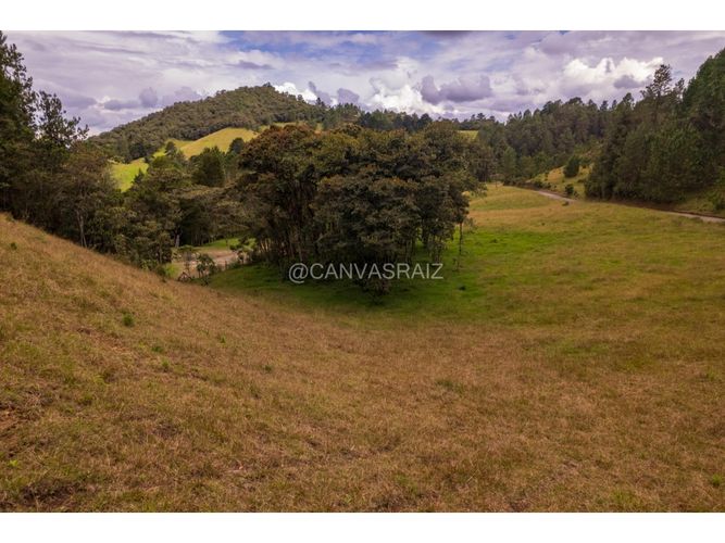 Lote en venta en Los Salados, El Retiro, 18420 m² · foto 6 de 7