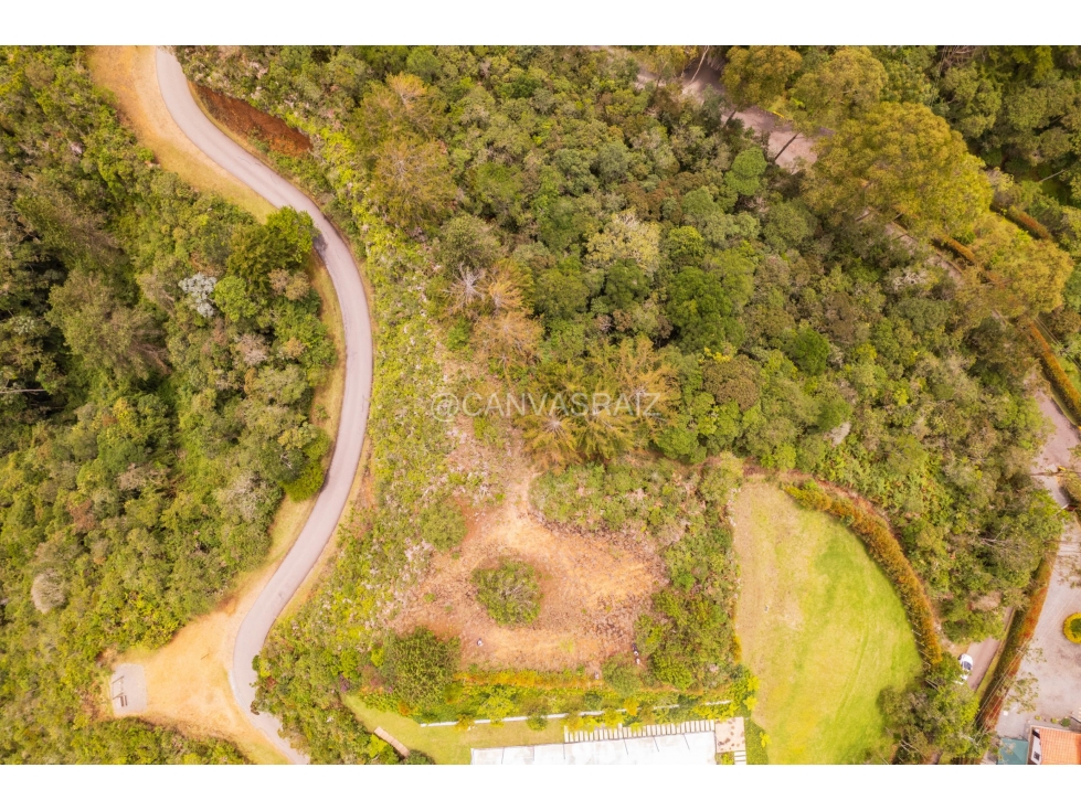 Land in Los salados for Sale - 2