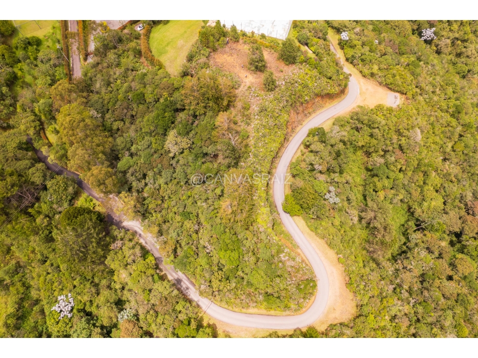 Land in Los salados for Sale - 3