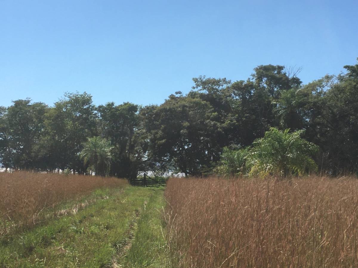 UNICA propiedad a orillas del Lago Ypacarai — foto 2