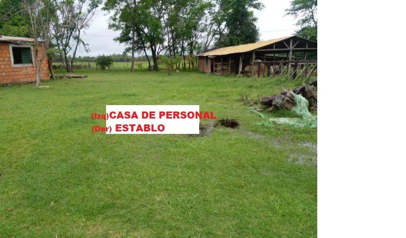 VENTA DE 24HA COSTA GUASU/BENJAMIN ACEVAL — foto 3