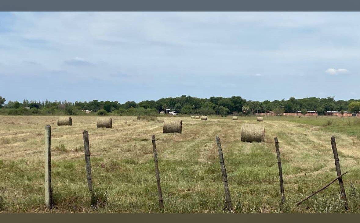 VENTA DE 24HA COSTA GUASU/BENJAMIN ACEVAL — foto 2