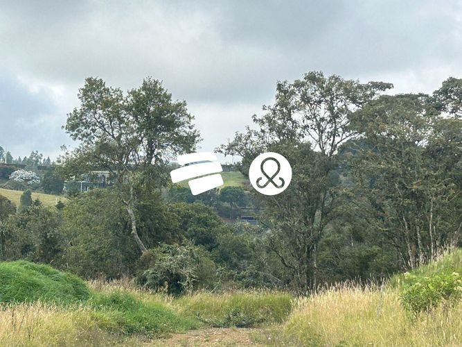 Lote en venta en Pantanillo, Envigado, 11464 m² · foto 10 de 24