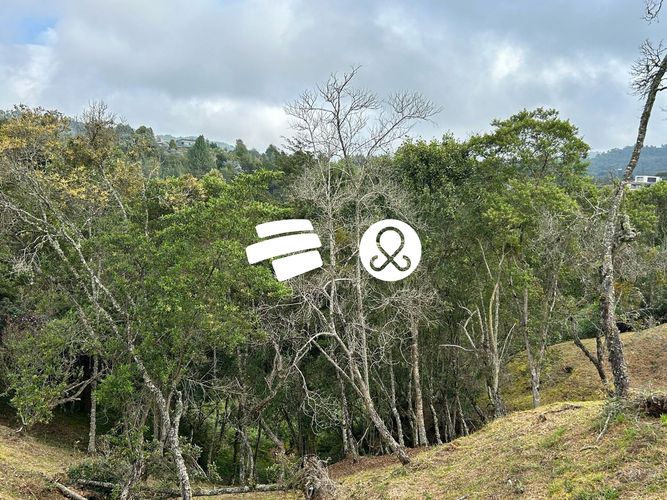 Lote en venta en Pantanillo, Envigado, 11464 m² · foto 15 de 24