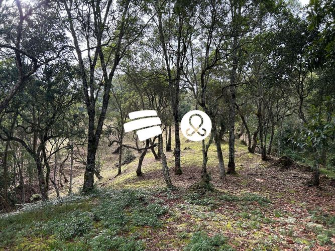 Lote en venta en Pantanillo, Envigado, 11464 m² · foto 16 de 24