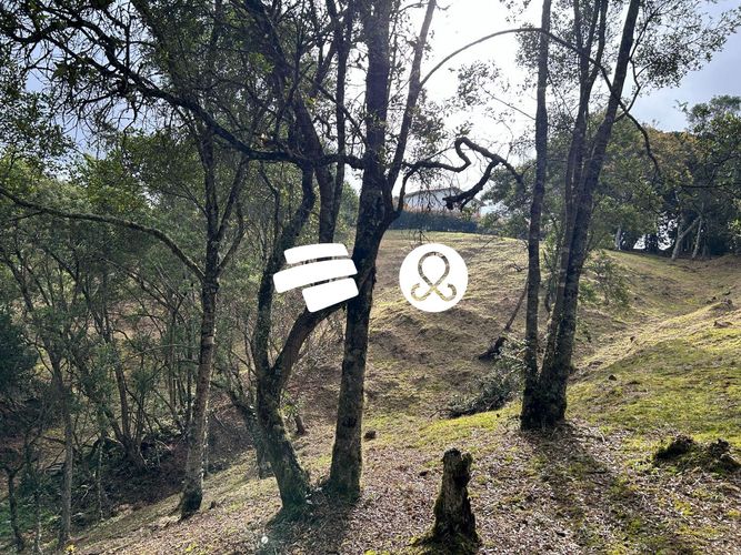 Lote en venta en Pantanillo, Envigado, 11464 m² · foto 24 de 24