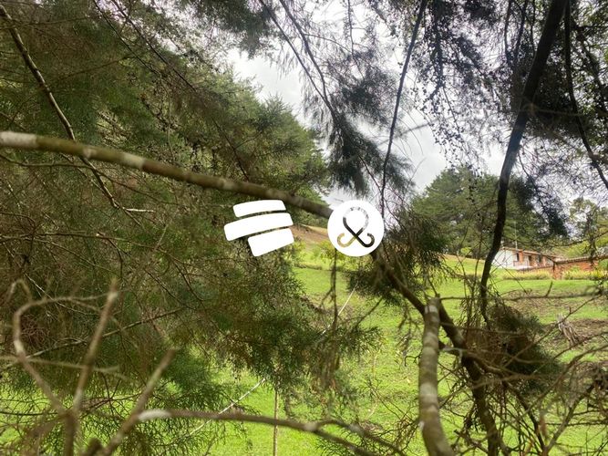 Lote en venta en La Ceja, 11500 m² · foto 4 de 24