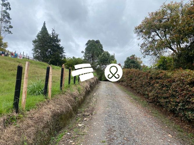 Lote en venta en La Ceja, 11500 m² · foto 5 de 24