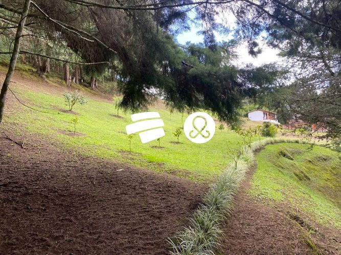 Lote en venta en La Ceja, 11500 m² · foto 6 de 24