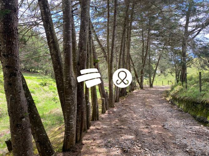 Lote en venta en La Ceja, 11500 m² · foto 7 de 24