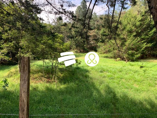 Lote en venta en La Ceja, 11500 m² · foto 8 de 24