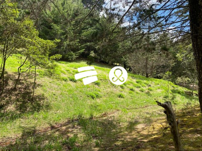 Lote en venta en La Ceja, 11500 m² · foto 10 de 24