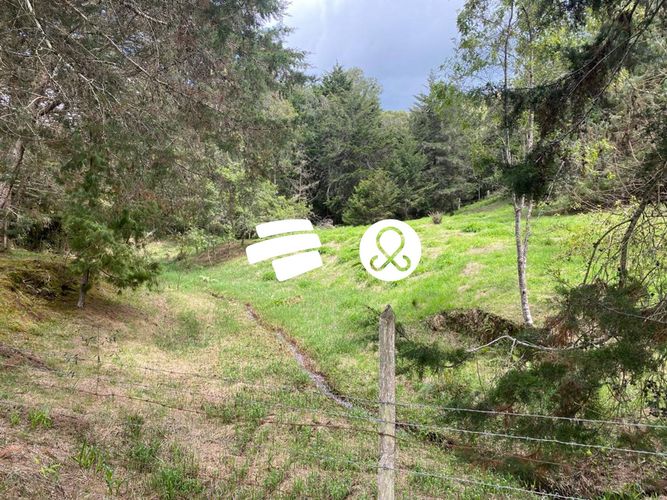 Lote en venta en La Ceja, 11500 m² · foto 11 de 24