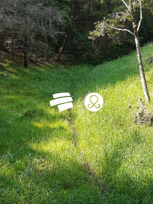 Lote en venta en La Ceja, 11500 m² · foto 12 de 24