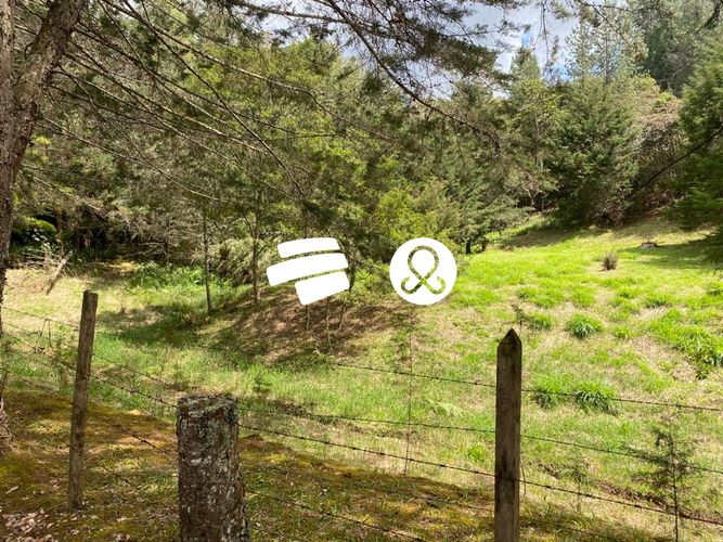 Lote en venta en La Ceja, 11500 m² · foto 15 de 24