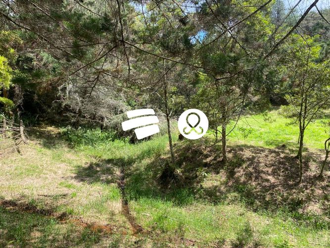 Lote en venta en La Ceja, 11500 m² · foto 16 de 24
