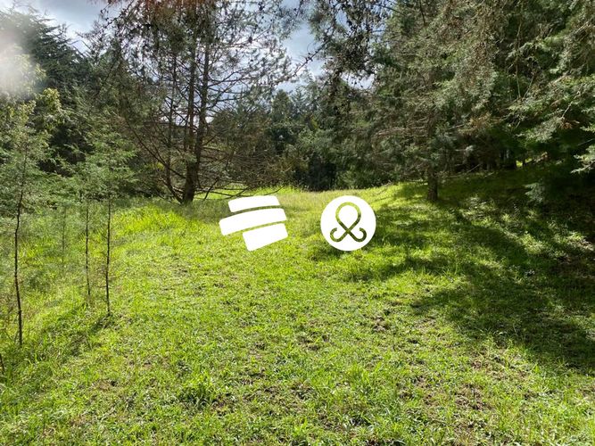 Lote en venta en La Ceja, 11500 m² · foto 18 de 24