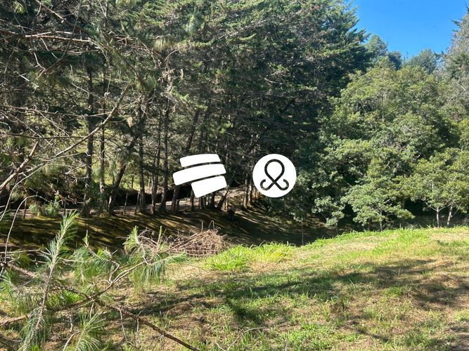 Lote en venta en La Ceja, 11500 m² · foto 22 de 24