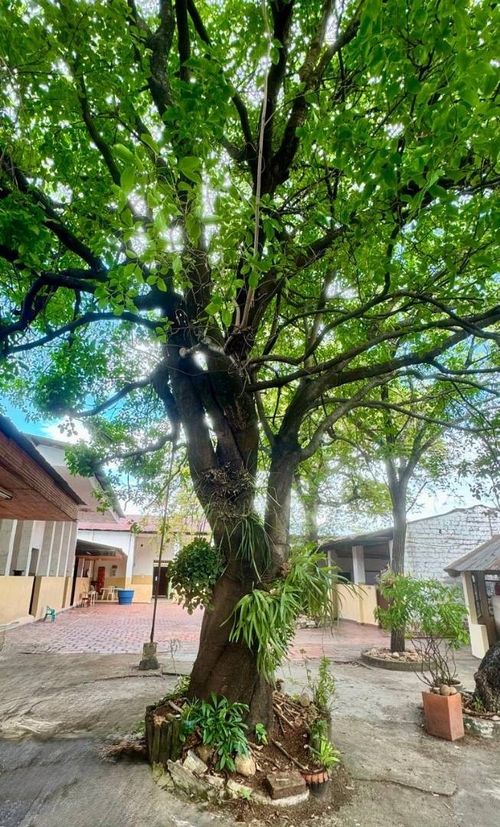 Casa de 8 alcobas en venta en San Pedro, Neiva, 1162 m² · foto 13 de 13