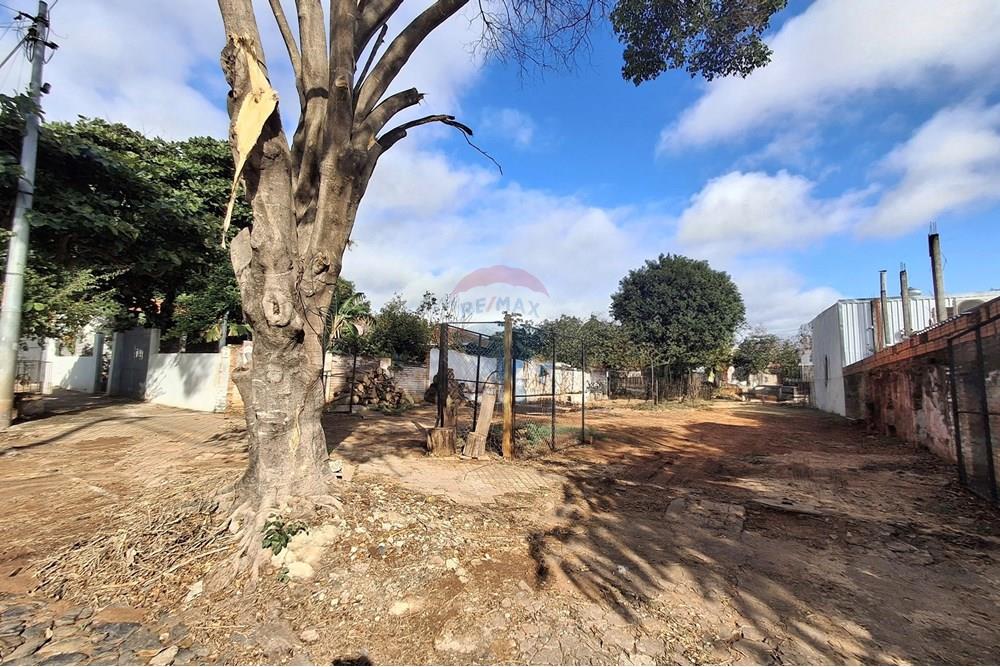 VENDO TERRENO EN VILLA AURELIA / ZONA TUPI — foto 3