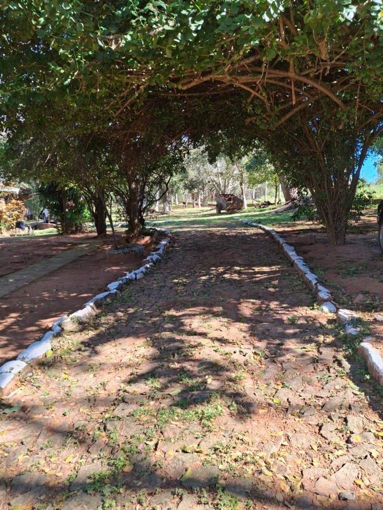 VENDO HERMOSA CASA QUINTA EN PIRIBEBUY CON 8.6HAS DE TERRENO — foto 3