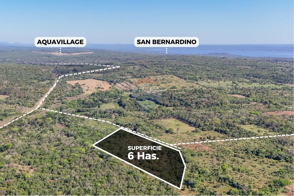 6 Hectáreas en Ciudad de Altos-Itagaza: Oportunidad Única en Venta — foto 2