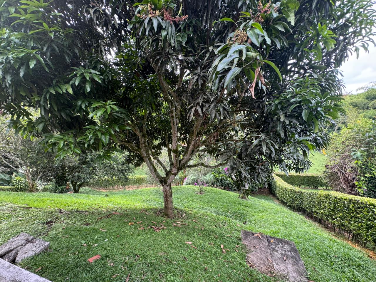 Casa en venta en Cerritos, Pereira · foto 16 de 17